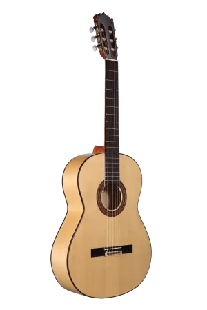 Altamira N300F