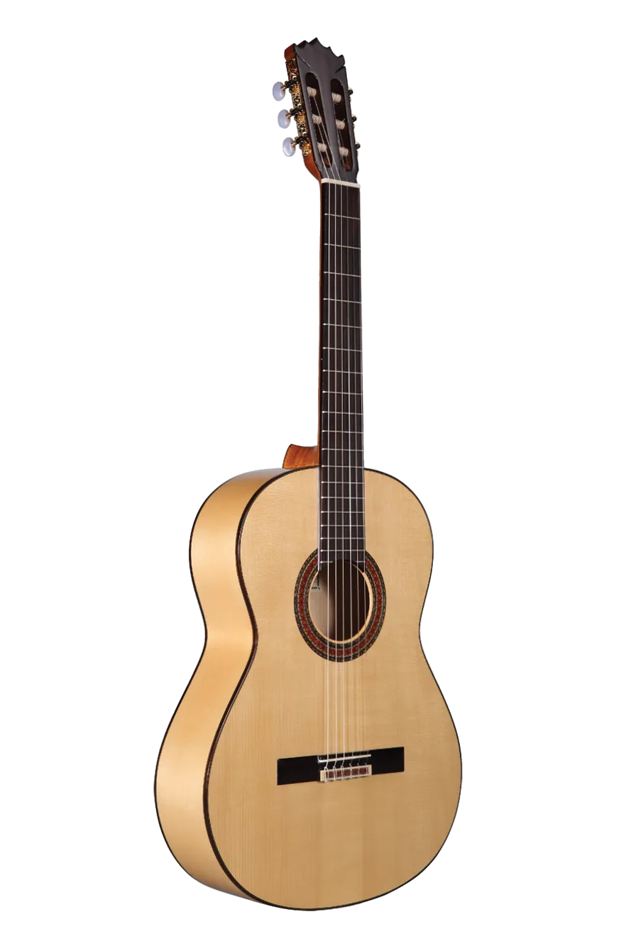 Altamira N300F