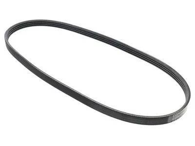 Alternator Belt