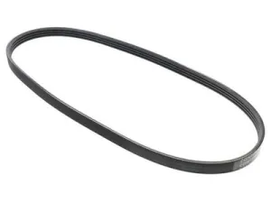 Alternator Belt