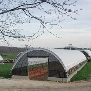 FarmTek 26' Super Moo-Tel Livestock Housing System | Durable, Weather-Resistant Shelter For Versatile Livestock Needs