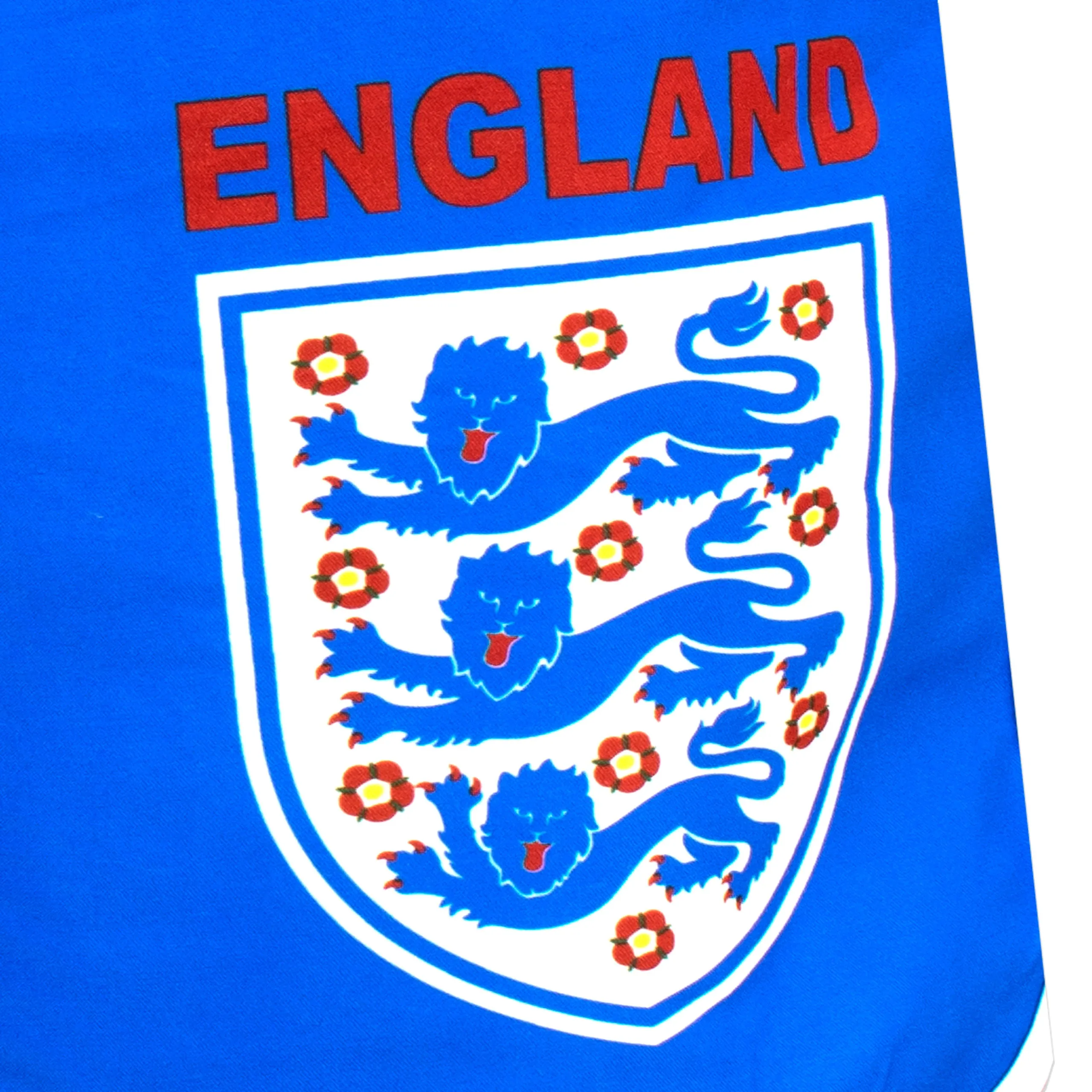 Mens England Swim Shorts