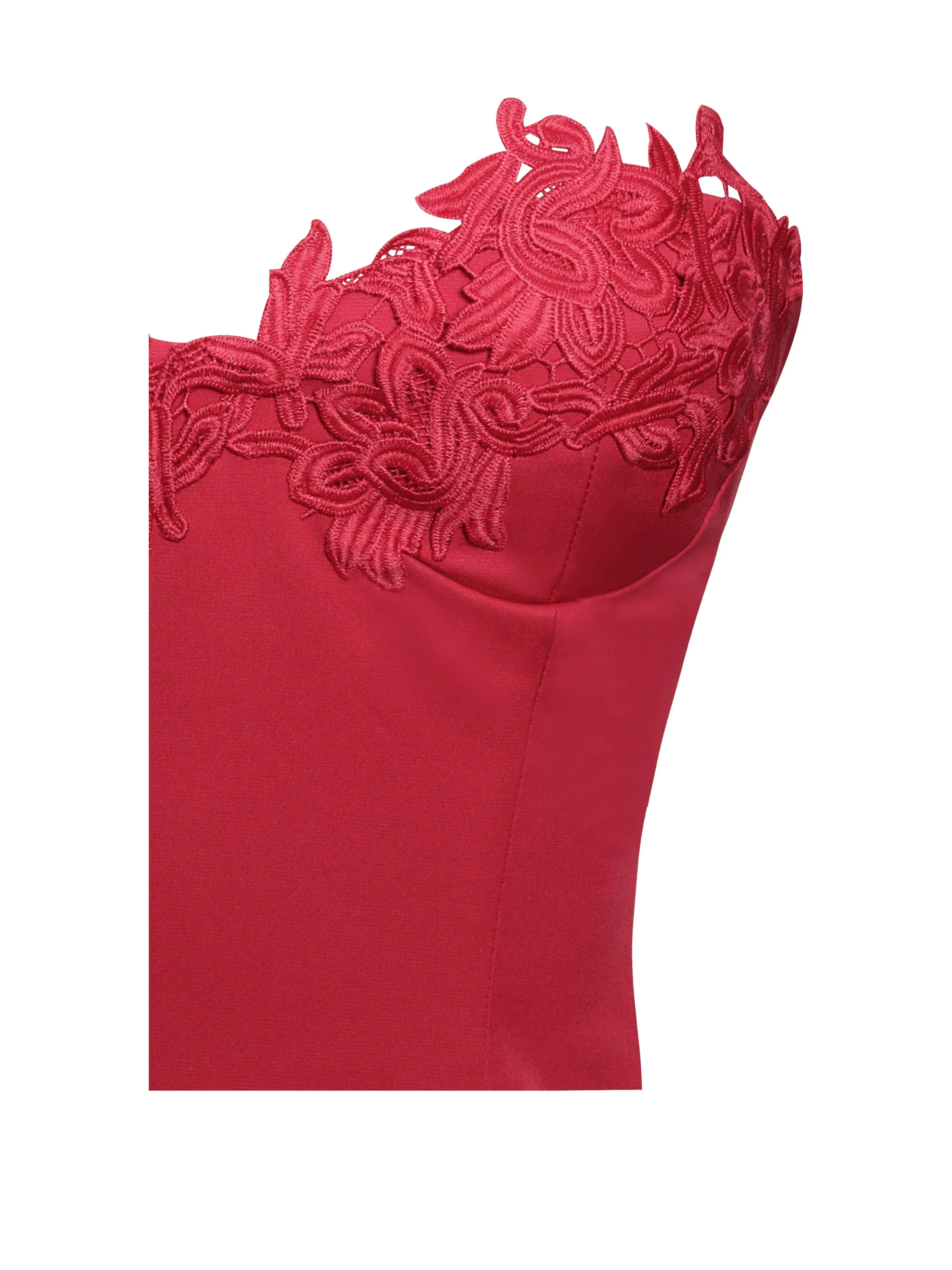 Sacha Red Lace Bustier Corset Mini Dress