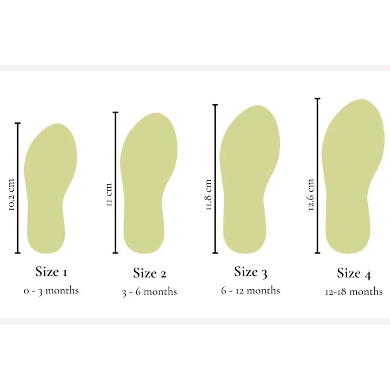 The Ollie Shoe