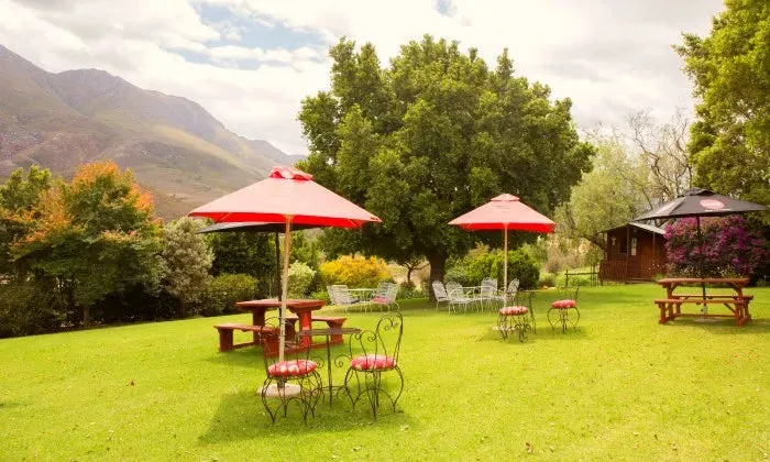 Western Cape: 1 or 2-Night self-catering stay for up to four at Bonfrutti